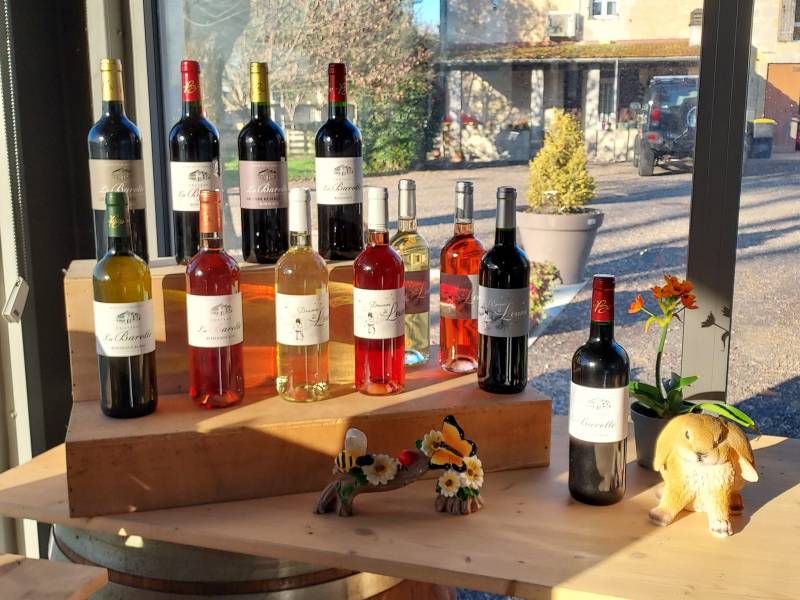 Où commander du bon vin chez un viticulteur pour un repas d'anniversaire ? près de Bordeaux