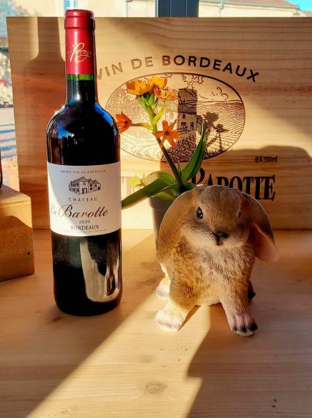 Acheter du vin Bordeaux Rouge Millésime 2020 chez un vignoble sur la région Bordelaise