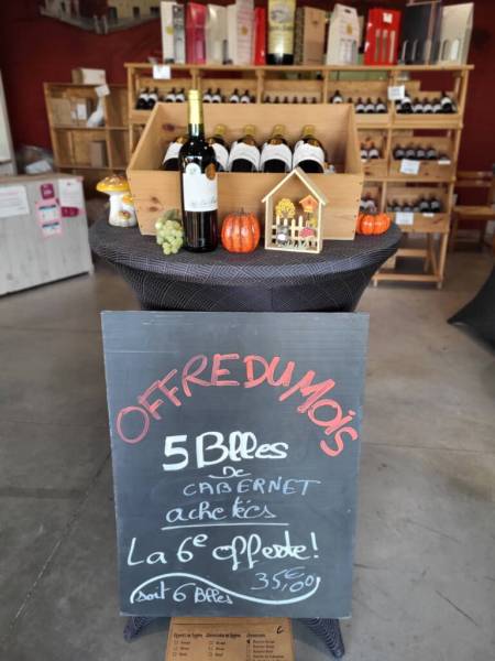 Janvier 2026 : démarrez l’année avec une offre irrésistible à Saint André de Cubzac au Château la Barotte !