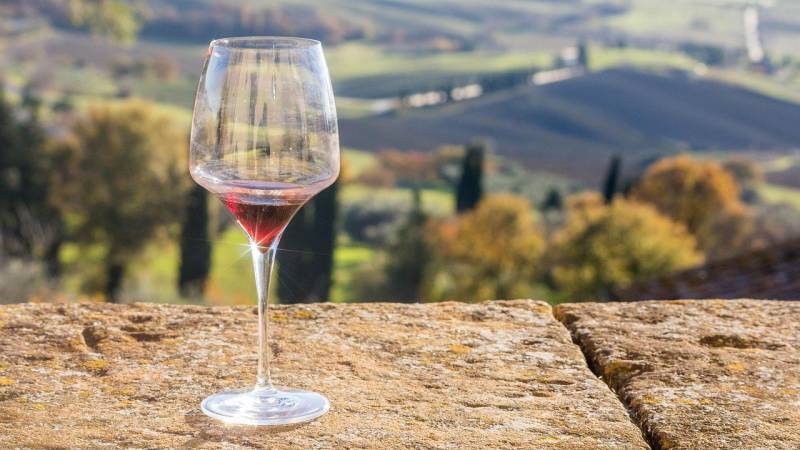 Rosé sec : FOCUS sur le Bordeaux Rosé Sec du Domaine Château la Barotte, viticulteur et producteur de vins dans le Nord-Gironde