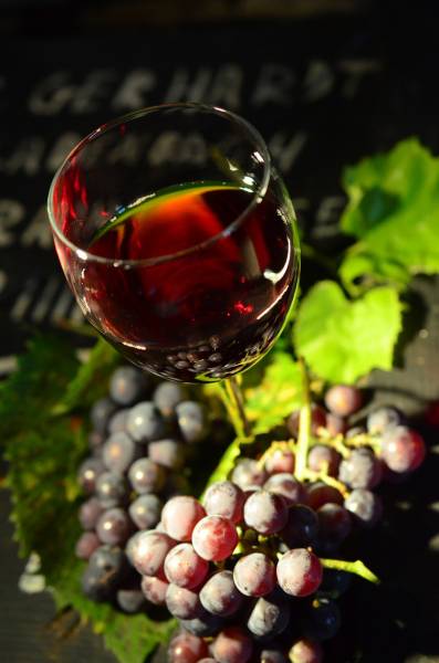 Quelles sont les vertus du vin rouge Domaine Château la Barotte ? Bordeaux 33